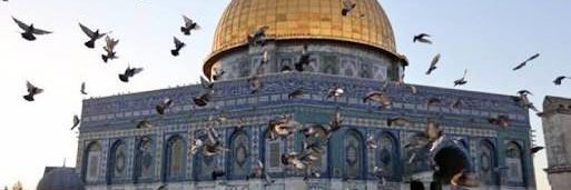 islamberberoglu's profile banner image