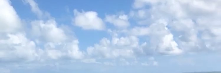 hann banner