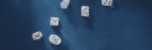 FP_Rings Profile Banner