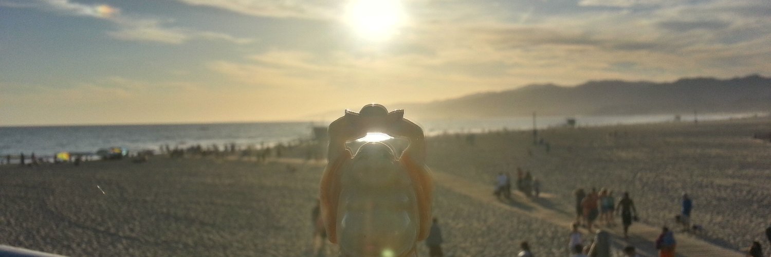 vixhex's profile banner image