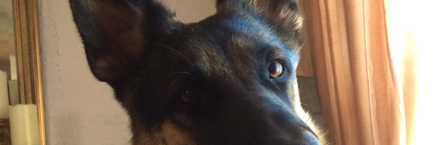 Fazzt2Win's profile banner image