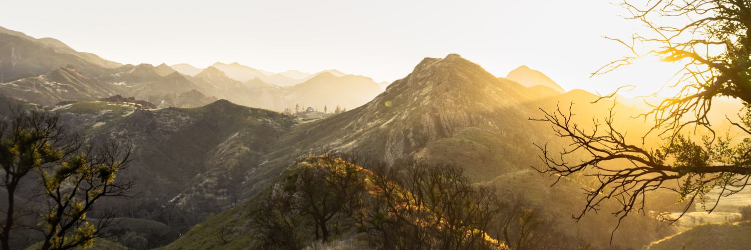 TannerAberle's profile banner image