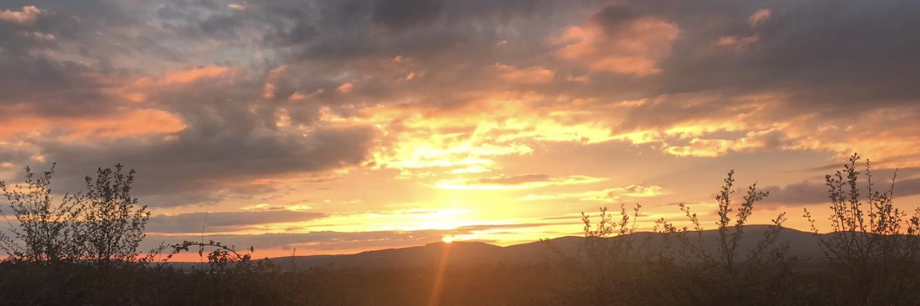 Giles Warrington banner