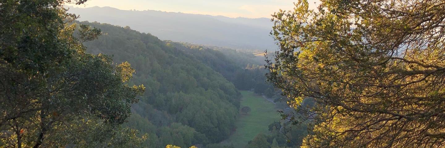 Greg Bardsley banner