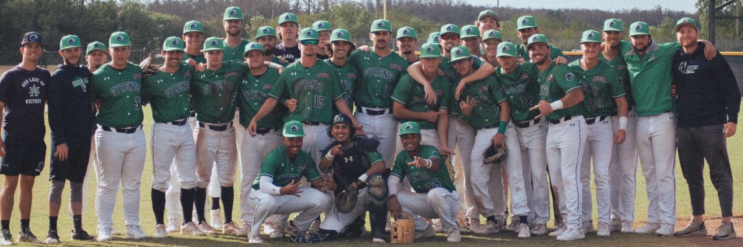 Ave Maria Baseball banner