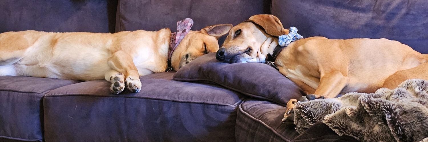 Homar the Barbarian banner