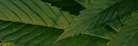 High Canada Magazine banner