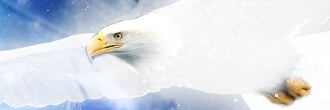 Spirit Eagle banner