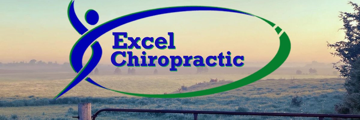 ExcelChiro's profile banner image