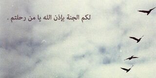 haloo_1417's profile banner image