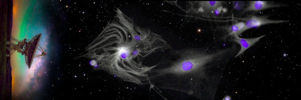 WrightohAlison Profile Banner