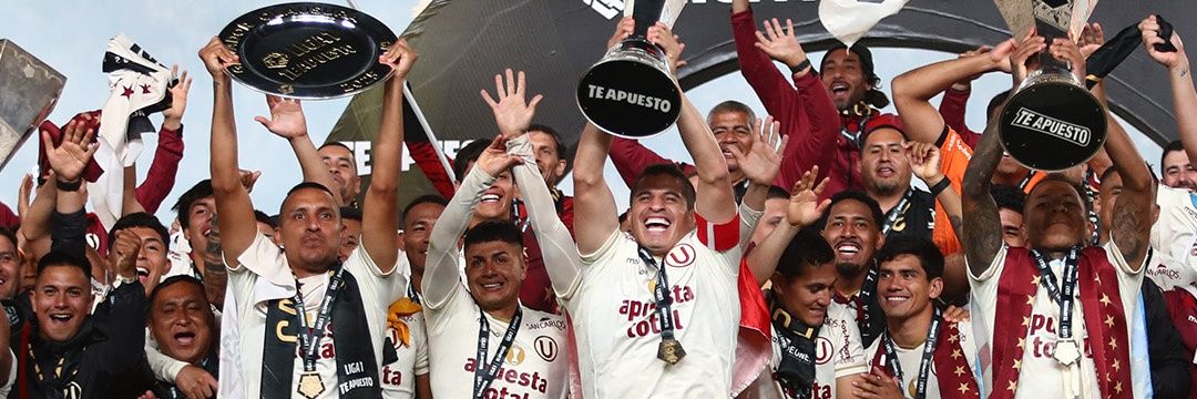 Francisco Santibañez ⭐29 banner