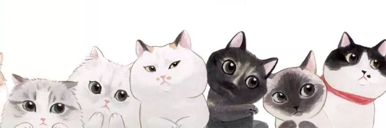 ohoihes's profile banner image