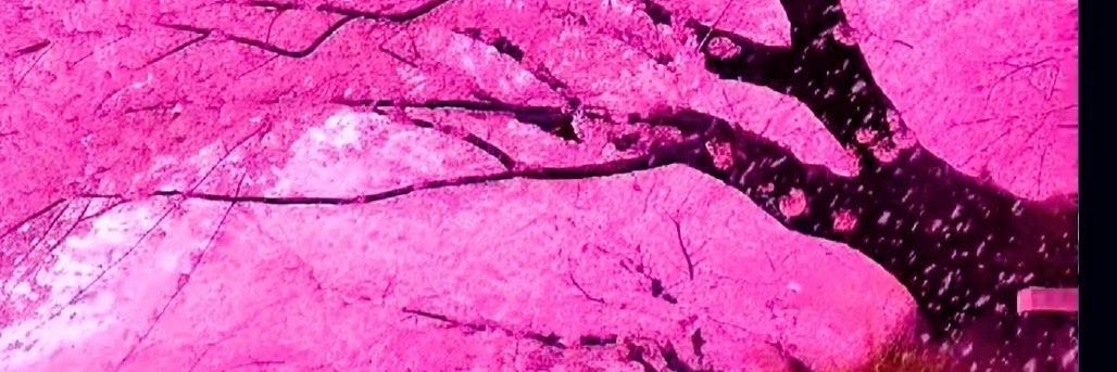 HandlingBusiness🐟 banner