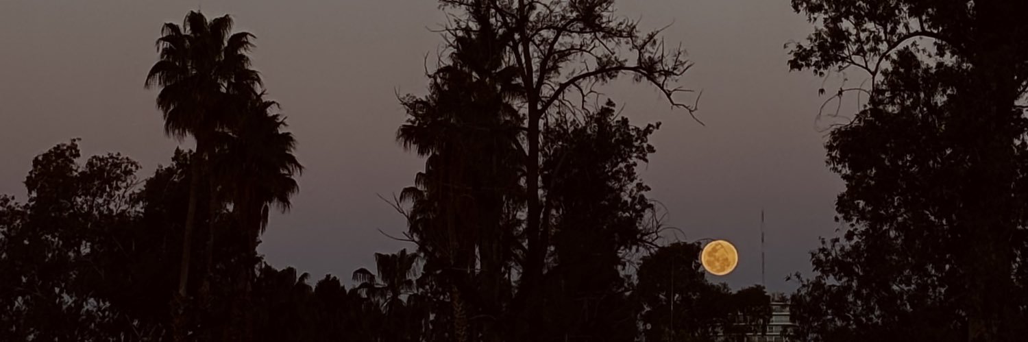 rocifloresss's profile banner image