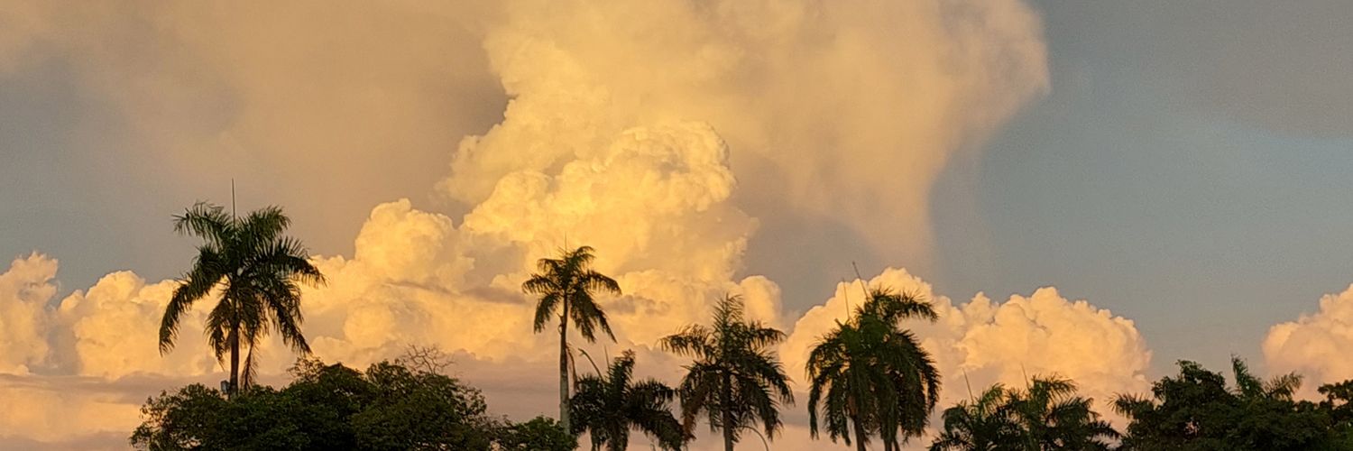 Farhananism_'s profile banner image