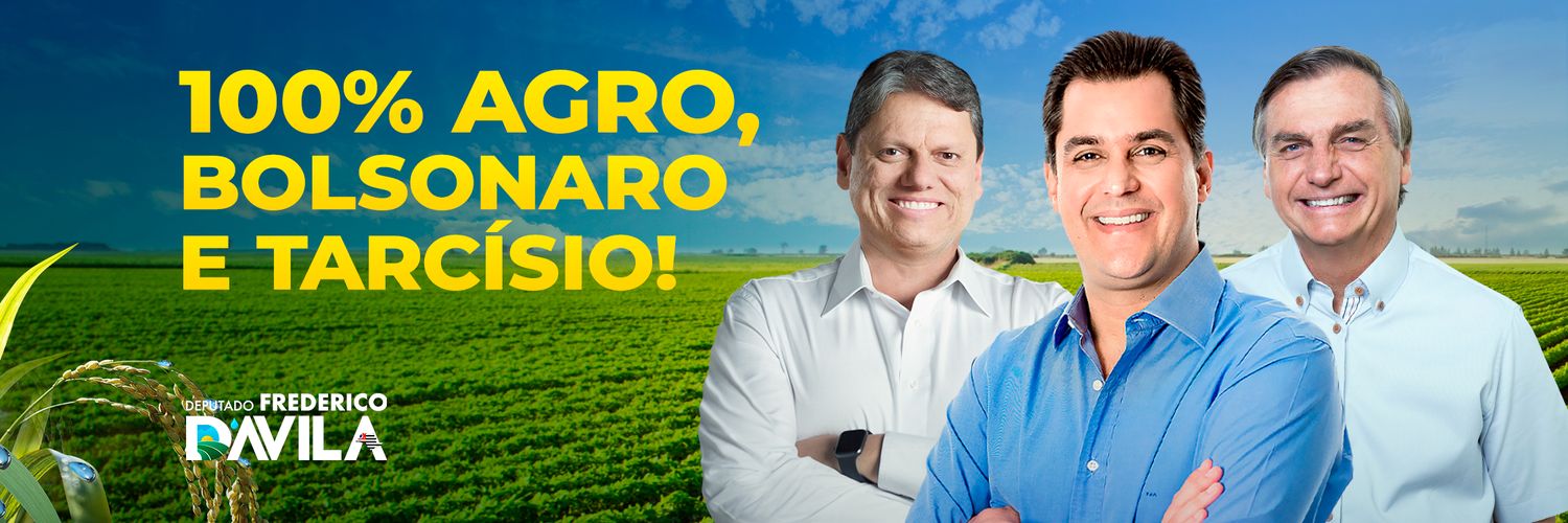 DEP. FREDERICO D'AVILA banner