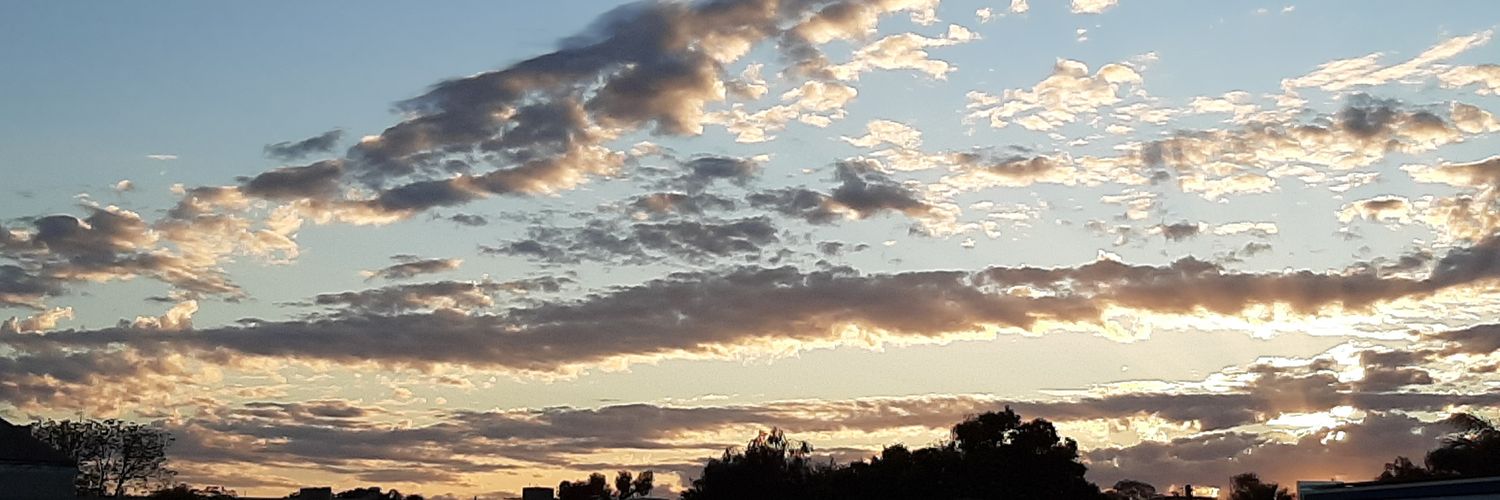 Dr Lilon Bandler 🐳 spoutible.com/DrLilon banner