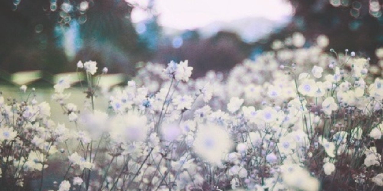 HolleyRussell's profile banner image