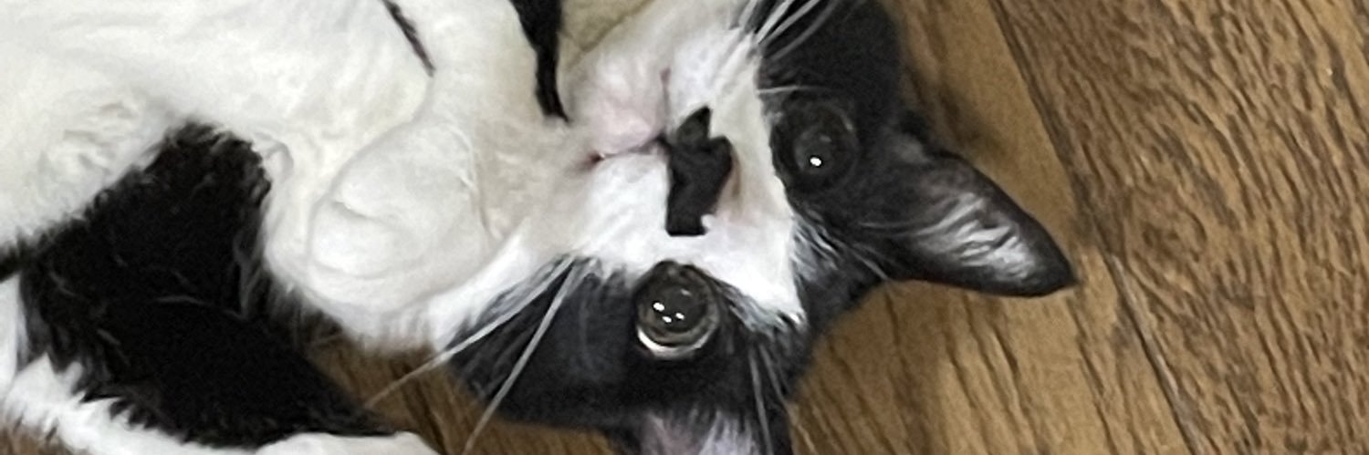 becky_zip's profile banner image