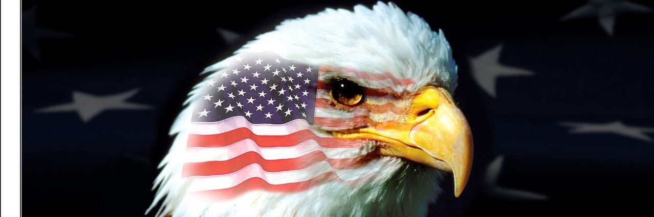 Sonja Neilson 🇺🇸 banner
