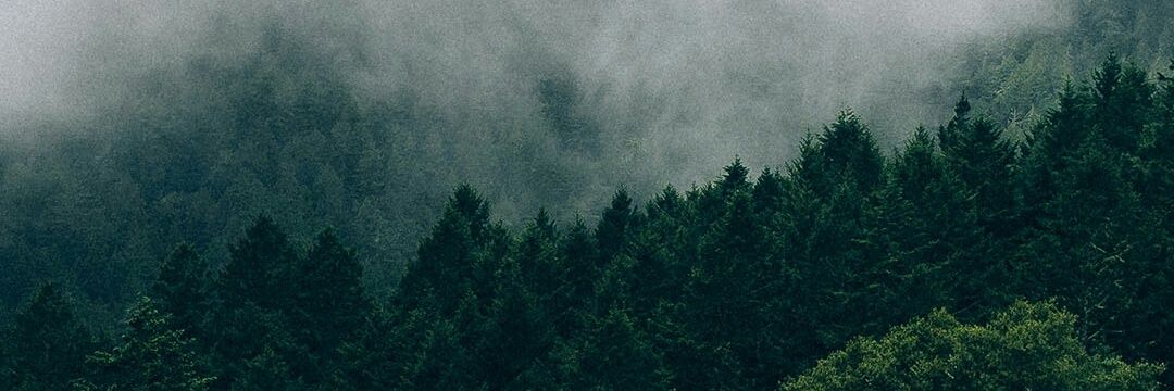 fachrial13's profile banner image