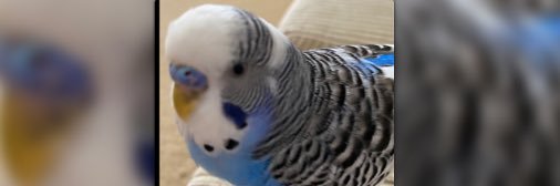 cinan72's profile banner image