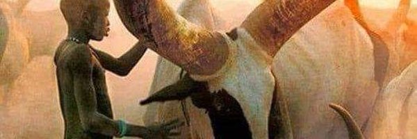ongondo_clive Profile Banner