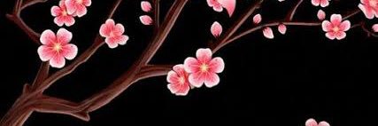 olivia_aodhea's profile banner image