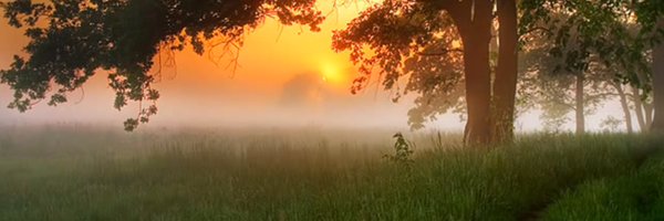 MsParaDoxy Profile Banner