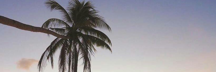 firstarain's profile banner image