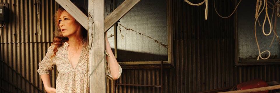 Kota Ishijima banner