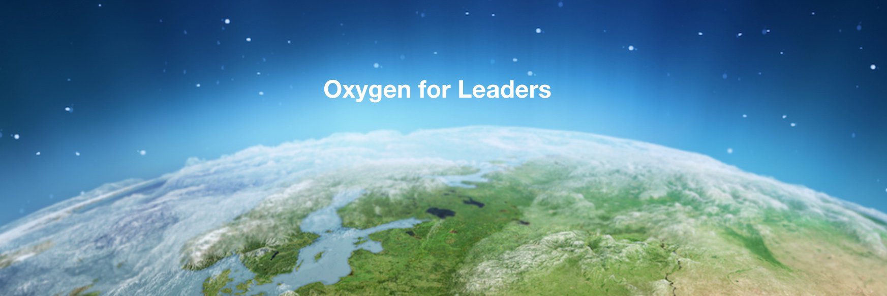 Stéphane de Baenst banner