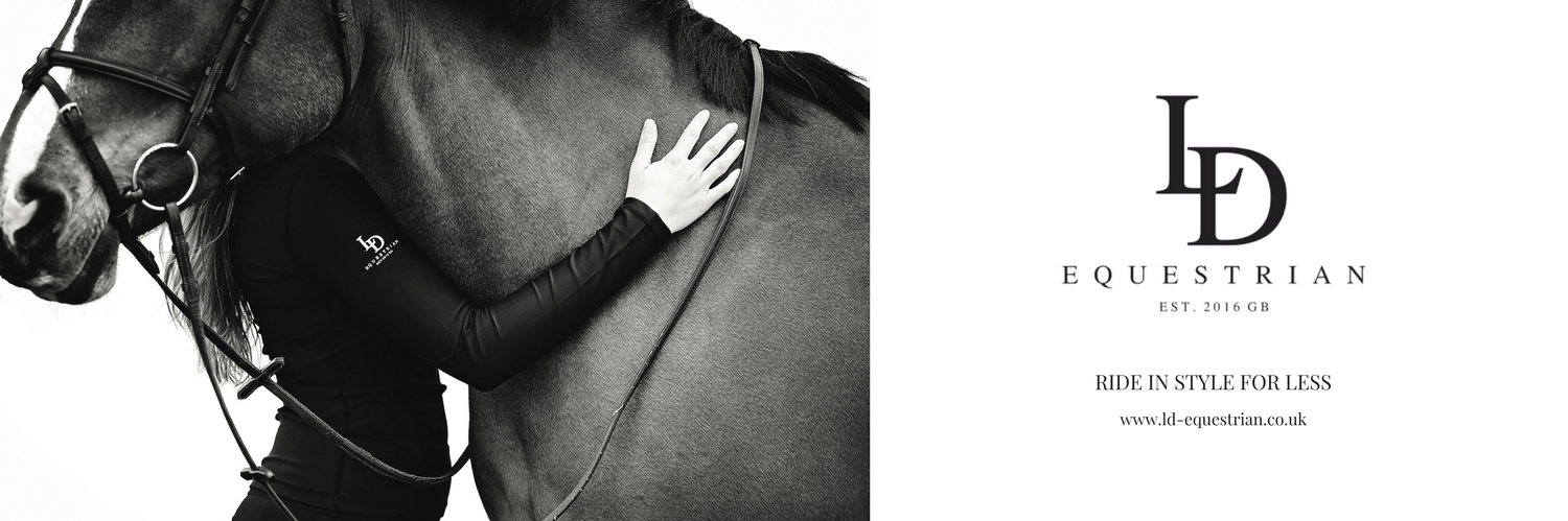 LD Equestrian banner
