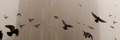 kompliwitaktiw's profile banner image
