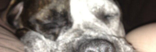 claireerick Profile Banner
