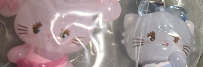 chinnamomo's profile banner image