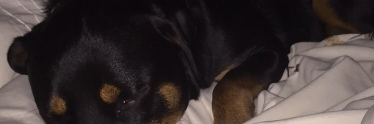 Madisonnjonnes's profile banner image