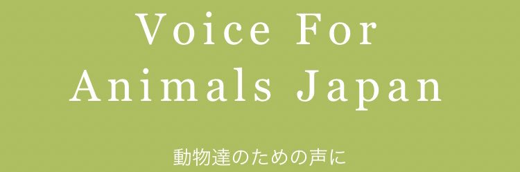 jongjonnu's profile banner image