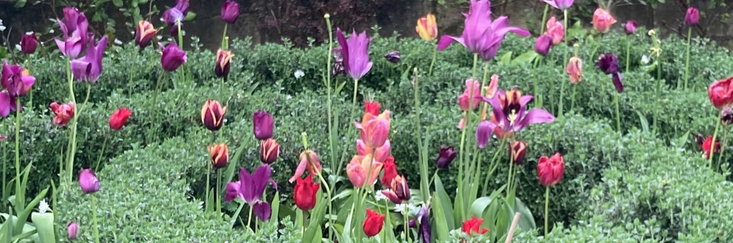 Emilio | For Bath banner