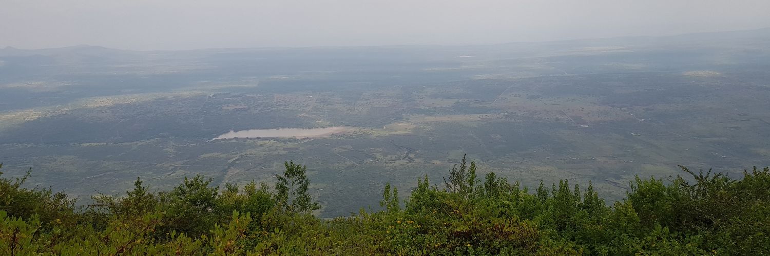 Murithi Mutiga banner