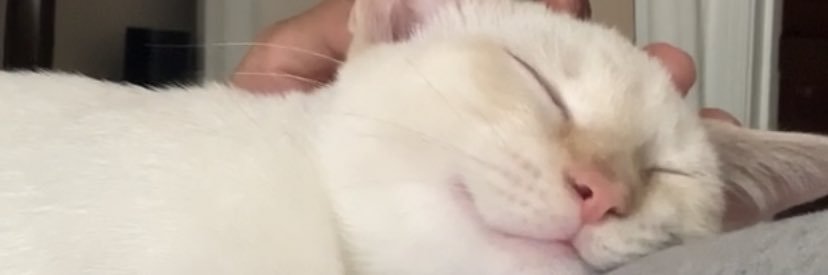 gabizappp's profile banner image