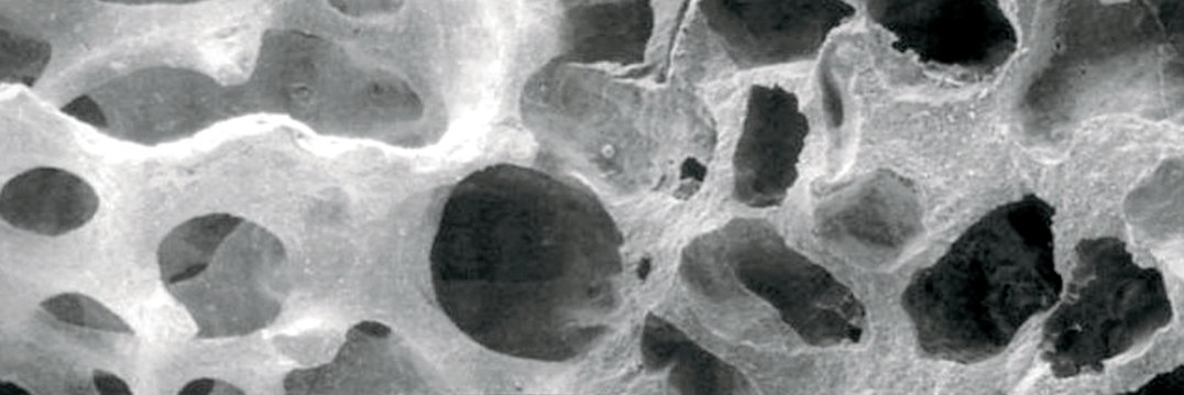Biomatlante's profile banner image