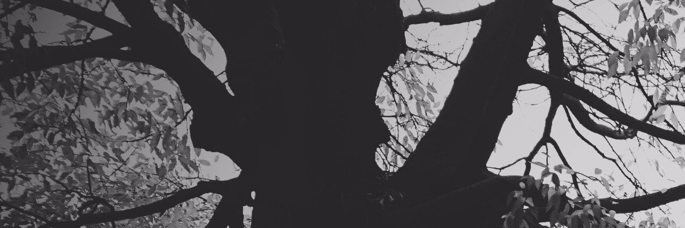 Lifenemy's profile banner image