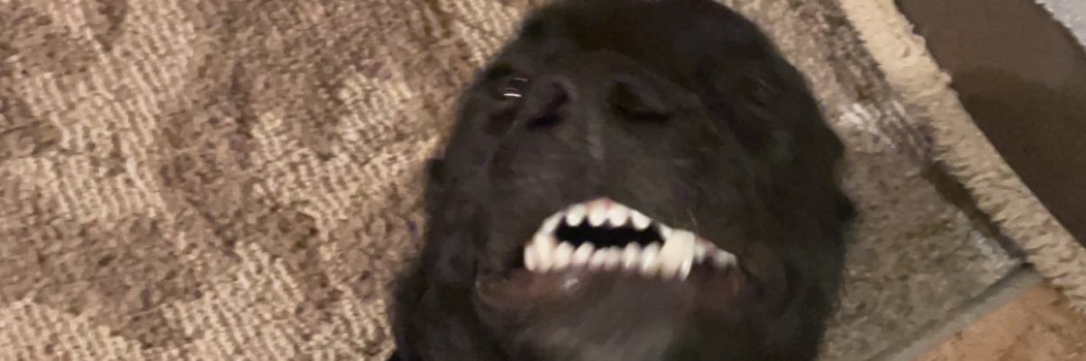 MONT banner