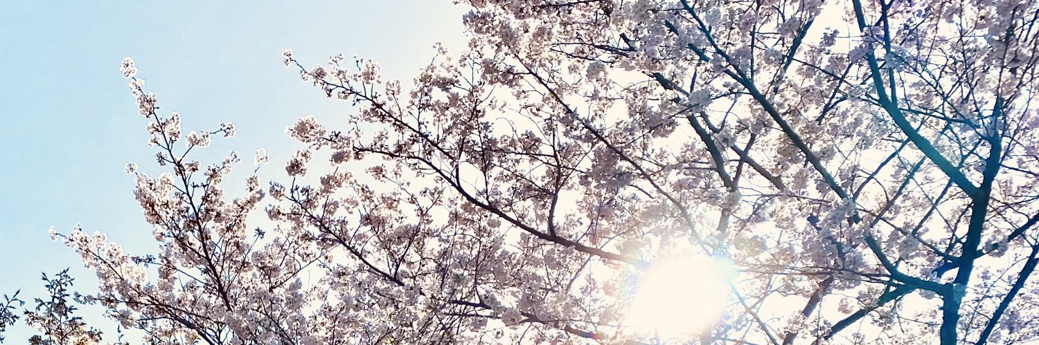kizutter's profile banner image