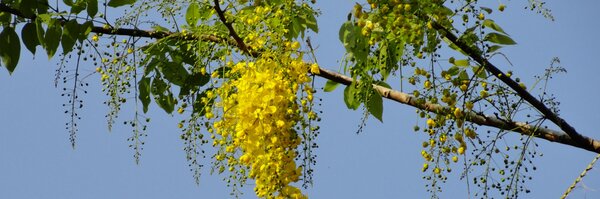 kannansuresh Profile Banner