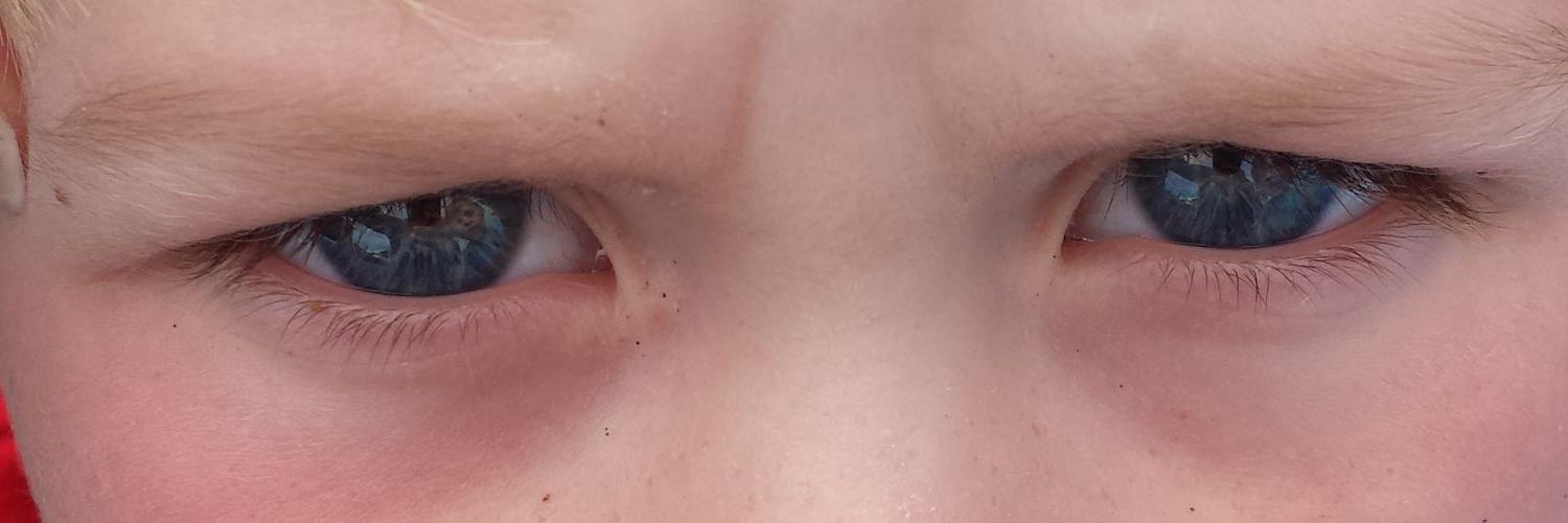 Clementine Cakes banner