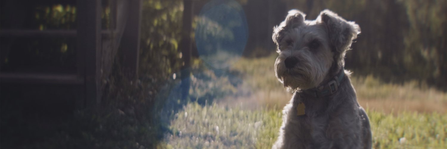 SamuelCaron's profile banner image