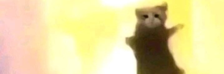 Ardluz_'s profile banner image